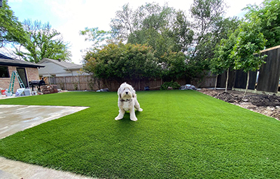Pets and Artificial Turf